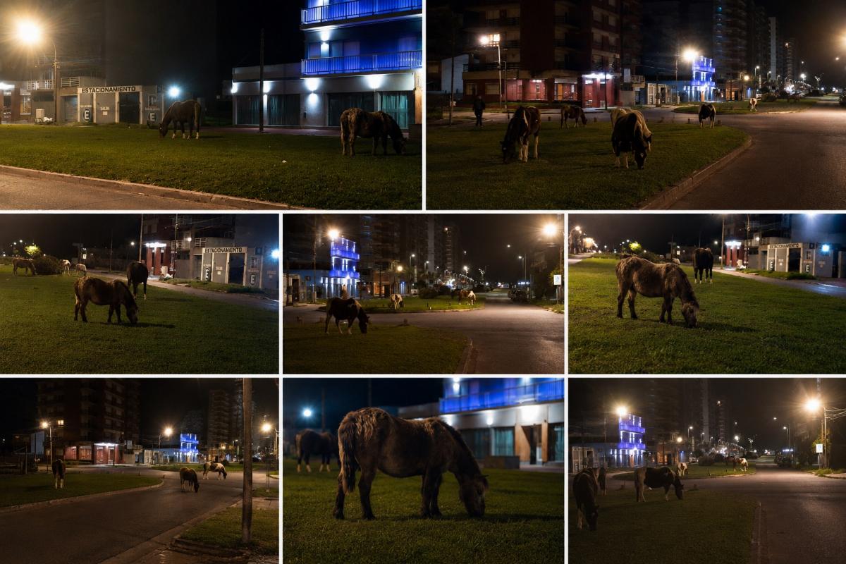 Ni el feriado los detiene: una cuadrilla ejemplar trabaja de noche en pleno centro de Miramar